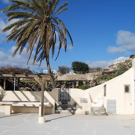 Palm Tree With Beautiful View - 2 Persons