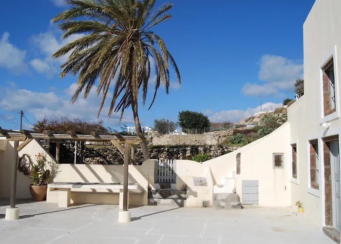 Palm Tree With Beautiful View - 2 Persons