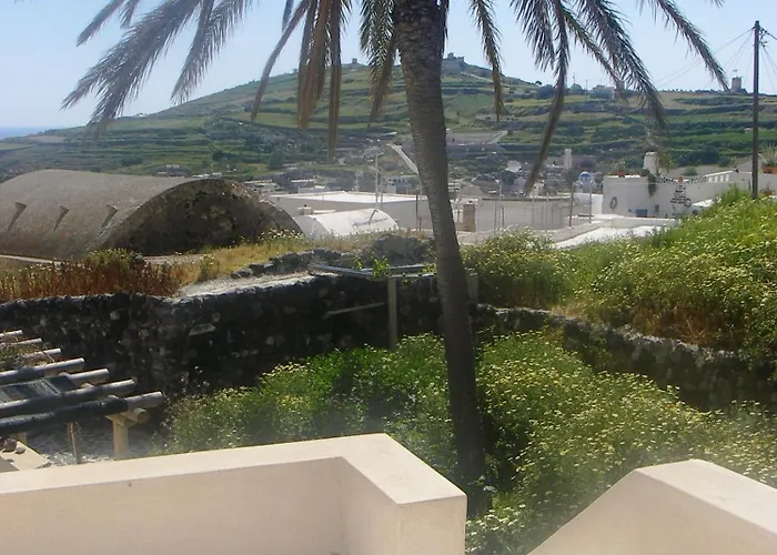 Palm Tree With Beautiful View - 2 Persons Lejlighed *