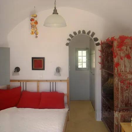 Palm Tree With Beautiful View - 2 Persons *