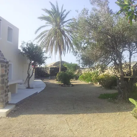 Palm Tree With Beautiful View - 2 Persons *