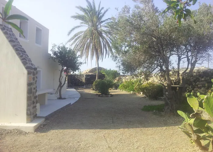 Palm Tree With Beautiful View - 2 Persons *